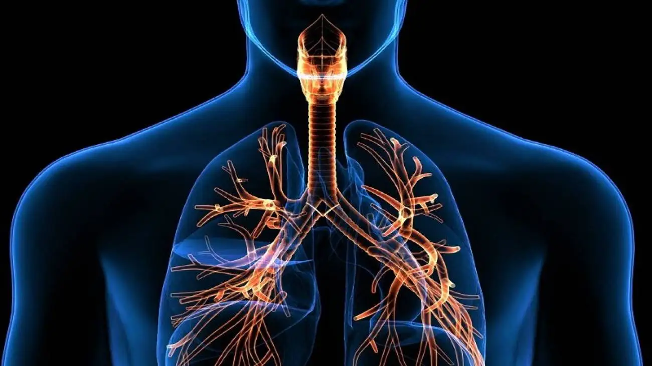 5 تمرین برای تقویت ریه در مقابل عفونت های زمستانی