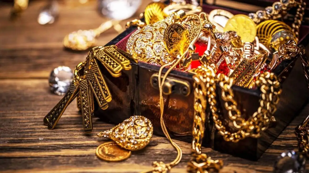 سرقت طلاهایی که در شکم مرغ جاساز شده بود + ویدئو  -  اعترافات سارق منزل