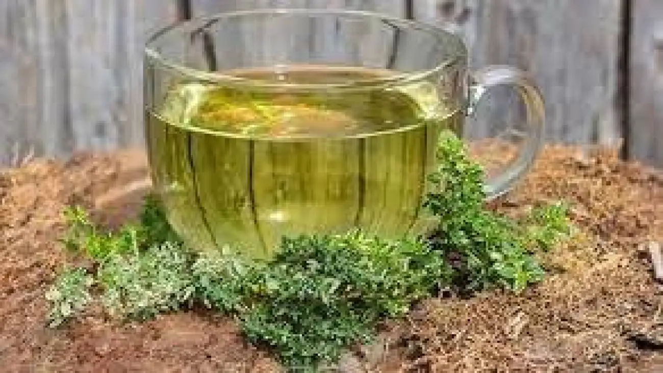 عرق یونجه و شربت سه شیره، آهن بدن را تامین نمی کند