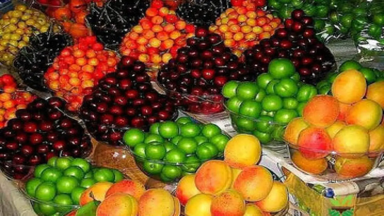 شروع عرضه نوبرانه های بهاری در بازارهای میوه وتره بار