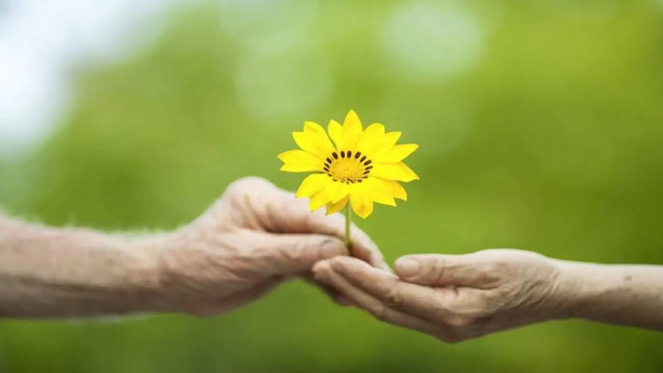 بررسی معجزات بی نظیر بخشش