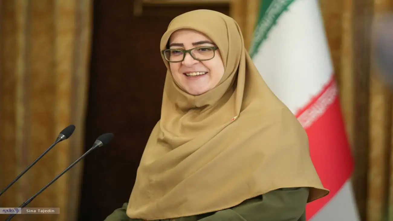 ویدیو  -   سخنگوی دولت: پزشکیان خیلی شجاع است و ترسی ندارد که دور دوم رئیس جمهور نشود