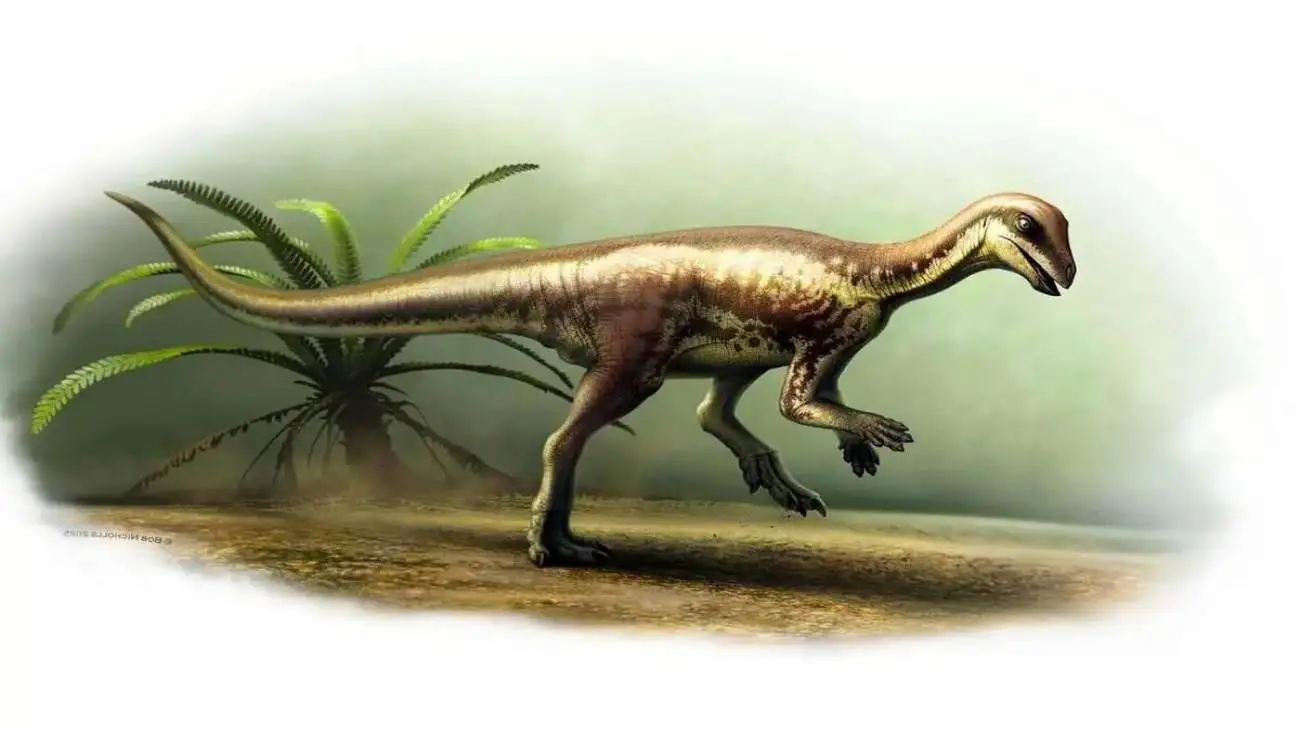 کشف دایناسوری با ابعاد یک گربه خانگی، اما سرعتی شگفت انگیز!