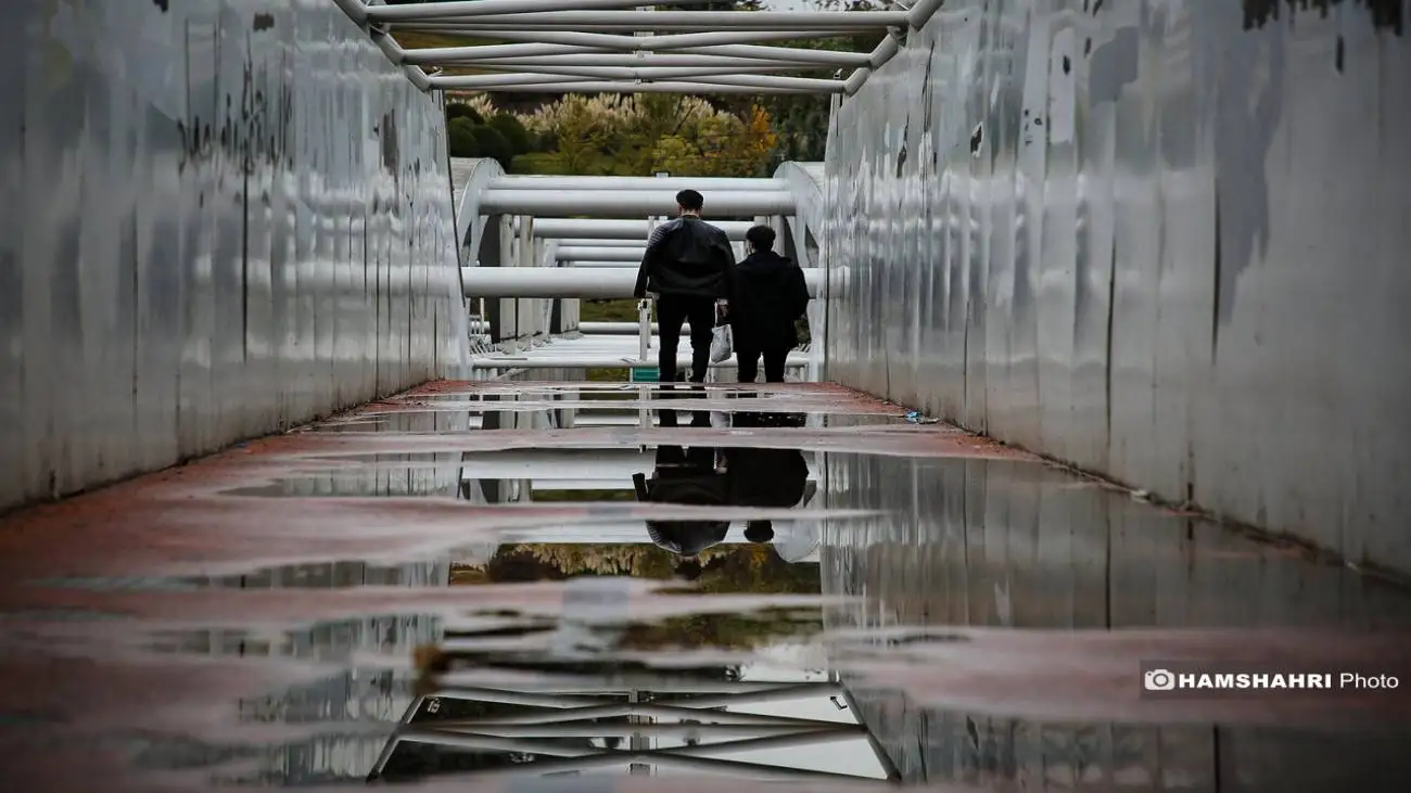 پخش زنده از بارش باران پاییزی در غرب کشور  -  ویدئو