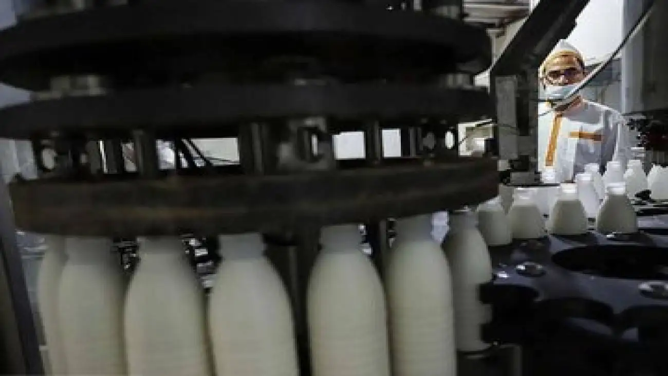 لبنیات 30 درصد گران شد