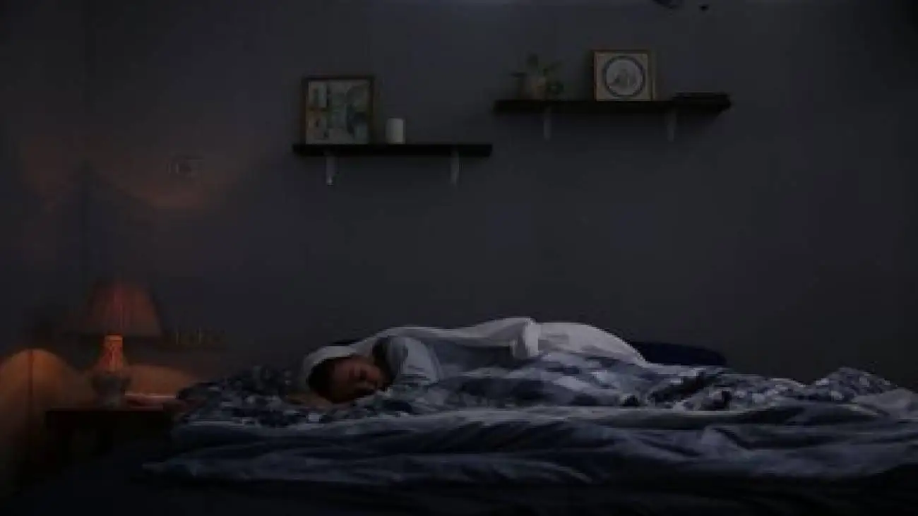 شروع اکران (گنجشک) در گرجستان