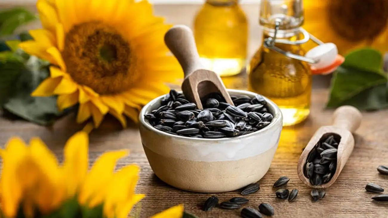 ویدیو  -  ایده جالب کشاورز سبزواری در جداکردن تخمه آفتابگردان