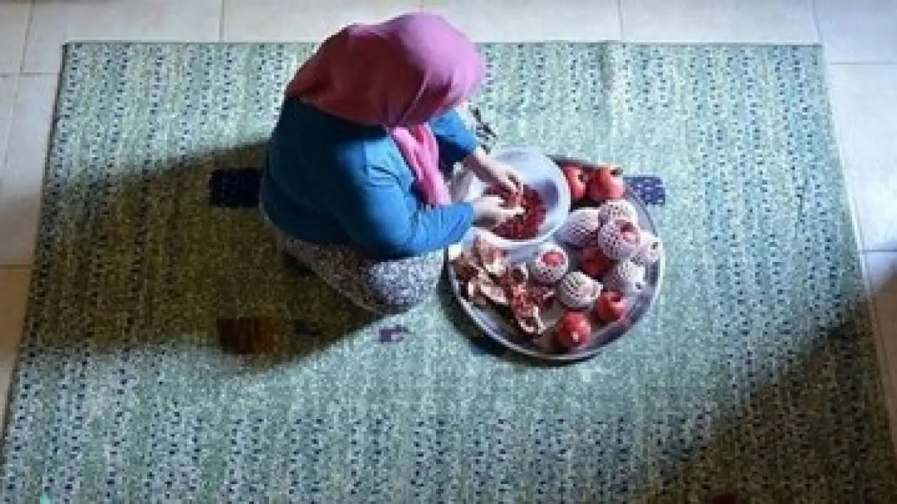 این شغل درآمد ندارد، هیچ وقت هم تمام نمی شود