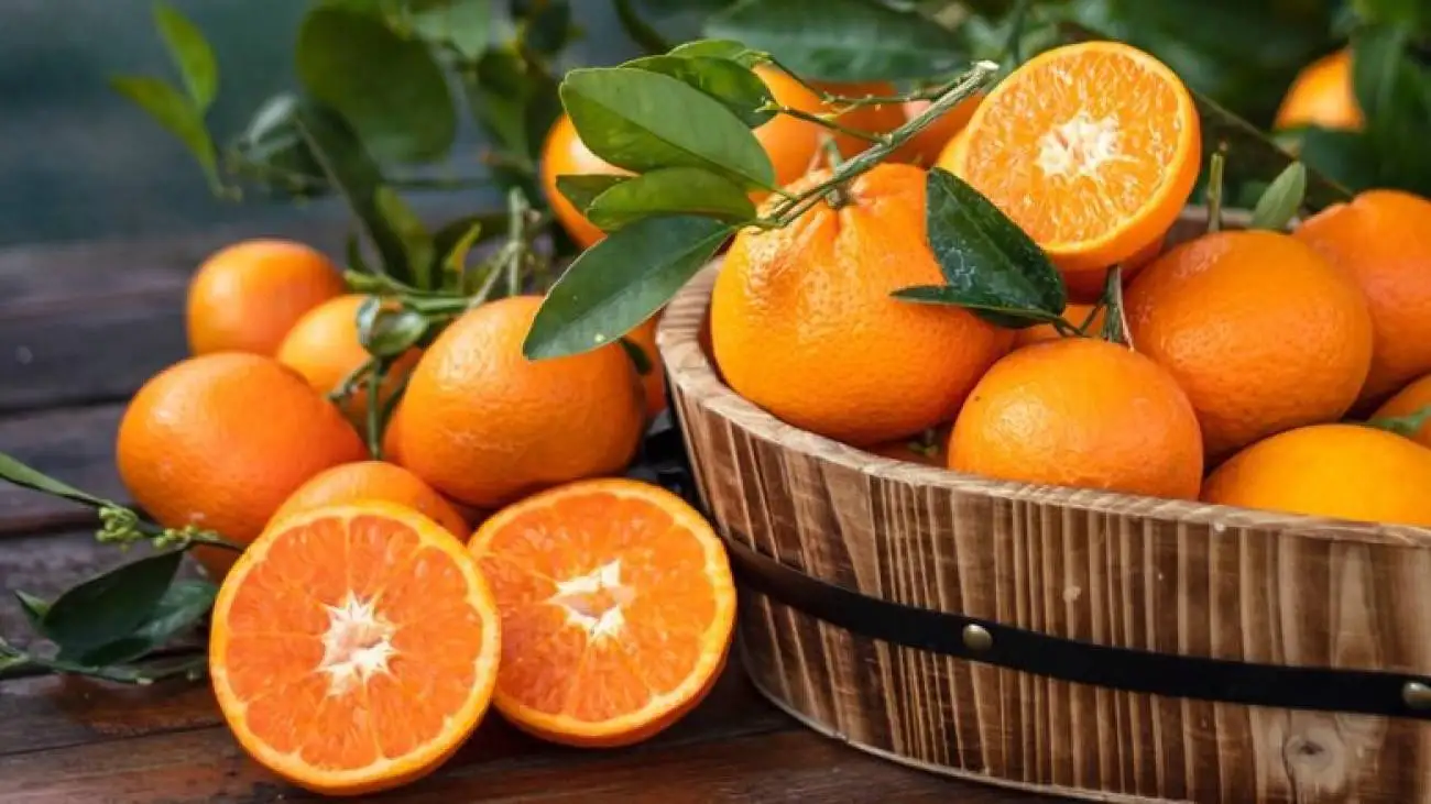 یک پرتقال در روز شاید افسردگی را از شما دور کند