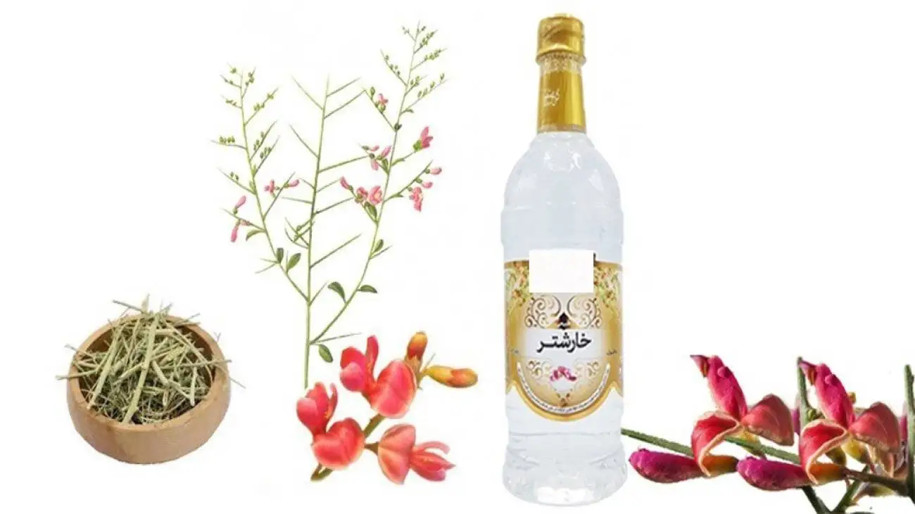 خواص شگفت انگیز عرق خارشتر برای بدن