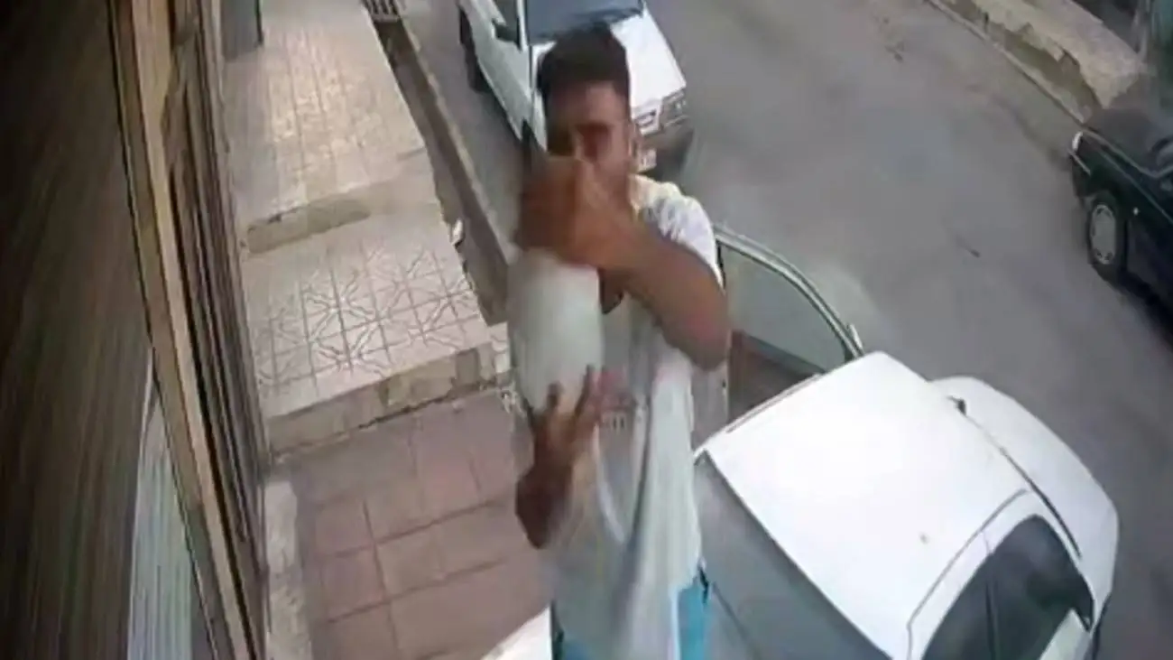 ویدیو  -  ویدئویی از سرقت جالب یک لامپ با سمند!