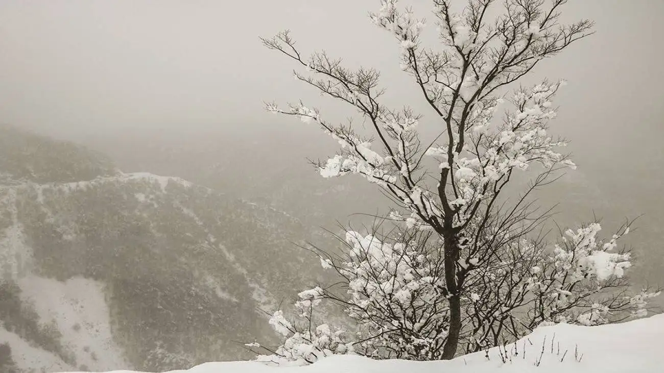 ارتفاع برف در اردبیل به نیم متر رسید  -  ببینید