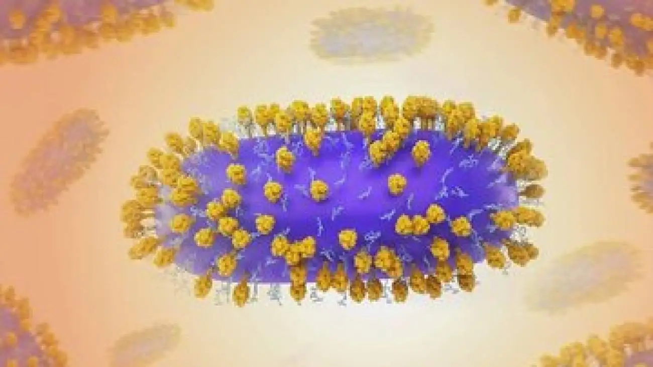 مطالعات دانشمندان دانمارکی؛ ویروس سرماخوردگی و خطر ابتلا به این بیماری ها را زیاد می کند