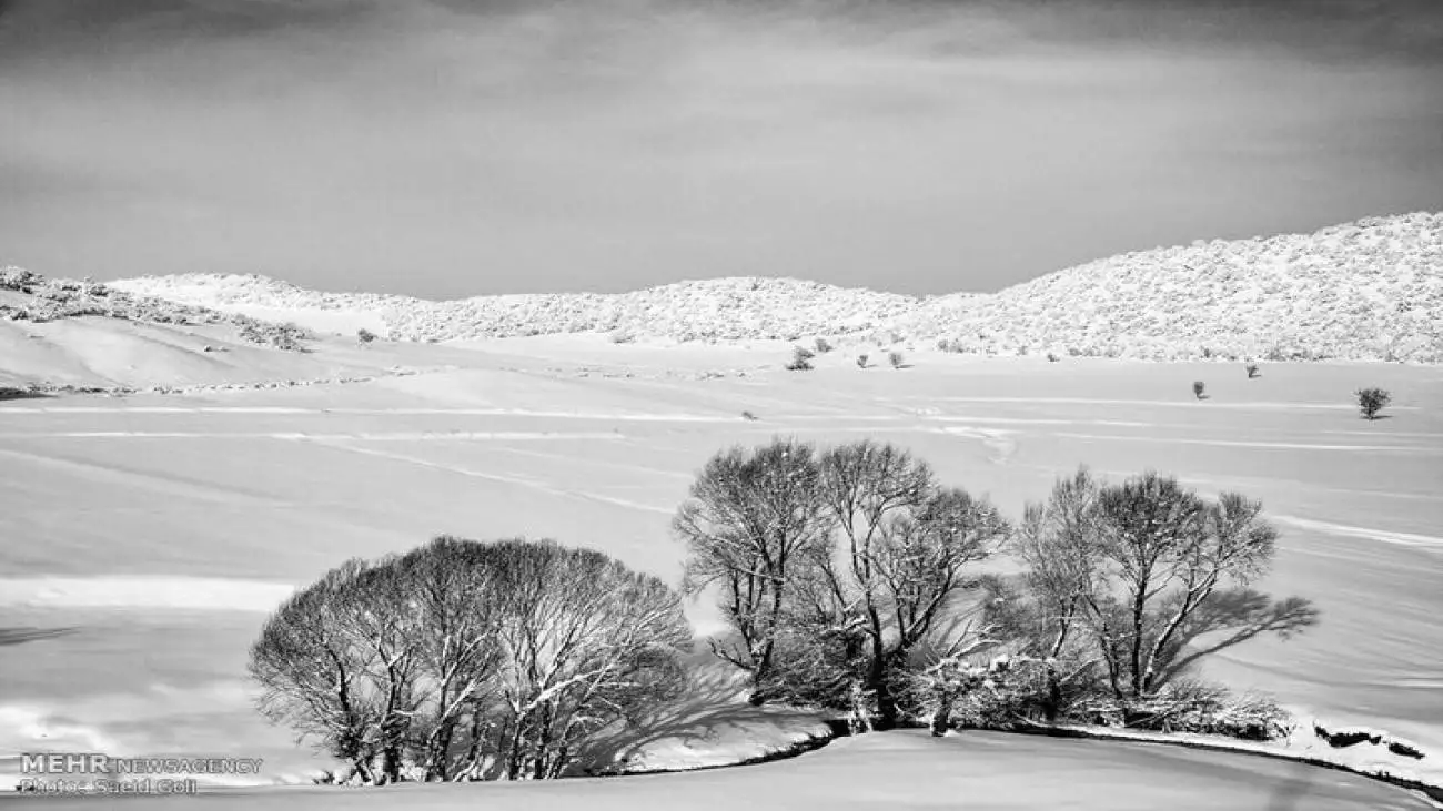 ادامه باران و برف در این مناطق  -  شمال گرم می شود