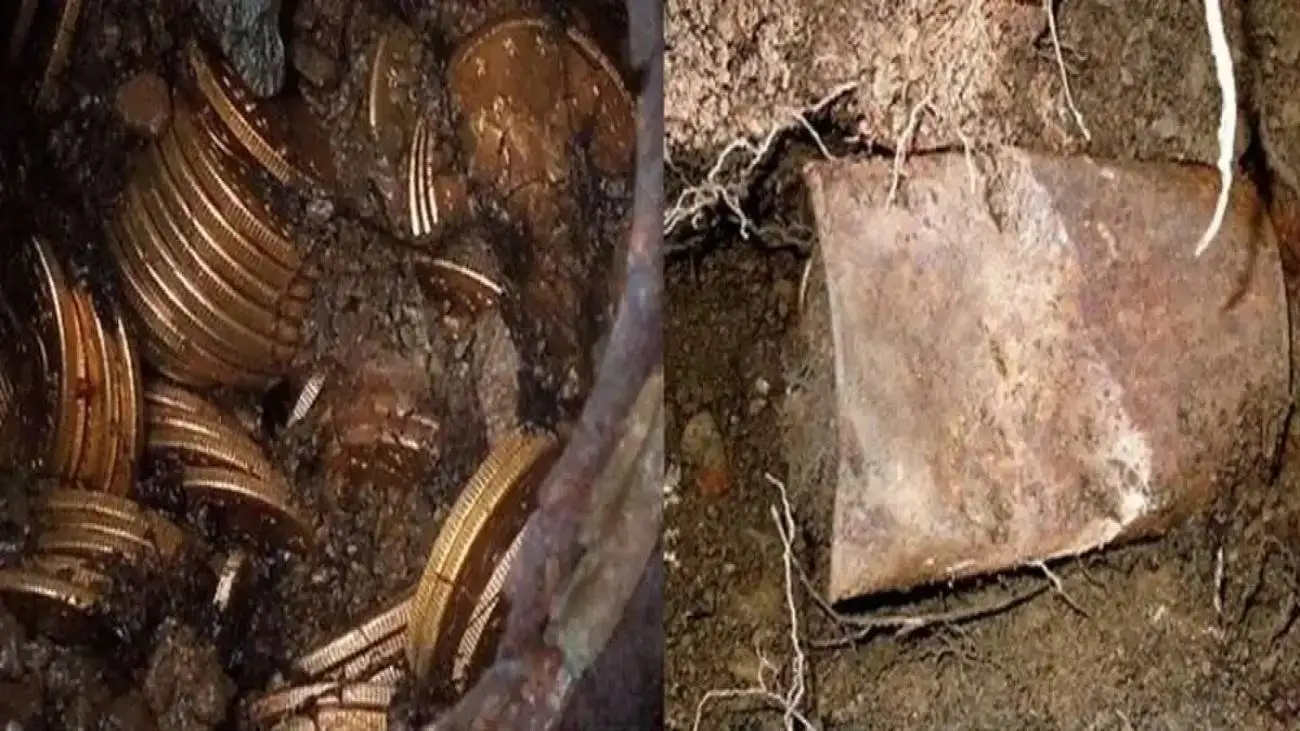 زوج خوش شانس یکی از بزرگ ترین گنجینه های طلا را پیدا کردند  -  عکس