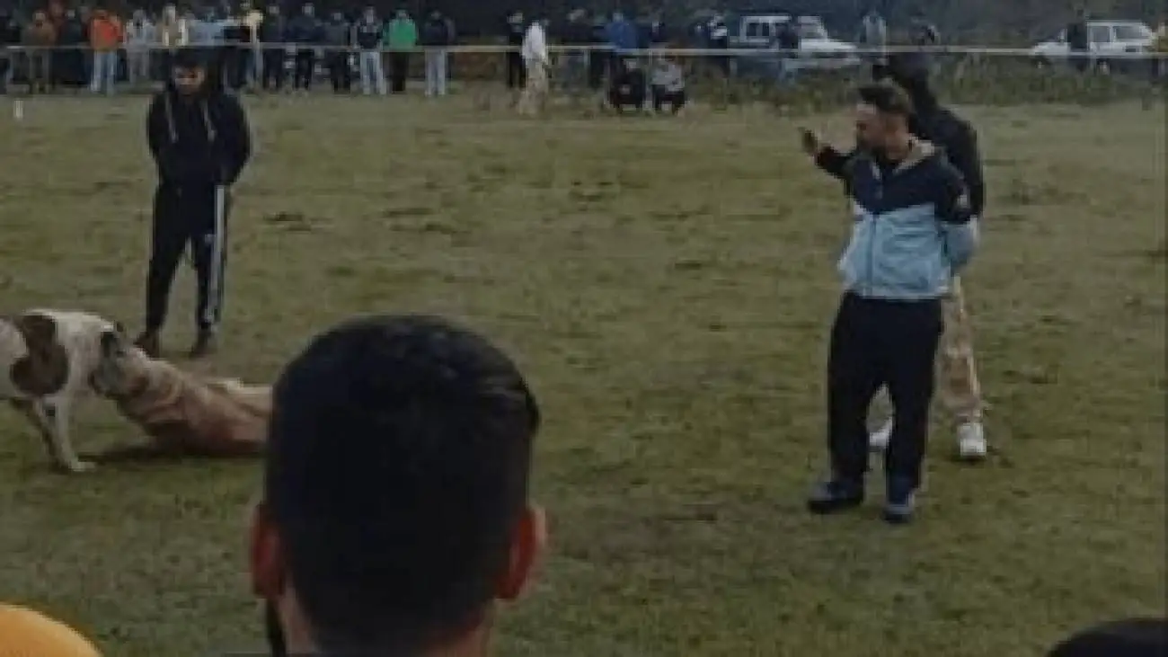 این چهار نفر دستگیر شدند - ماجرا چیست؟