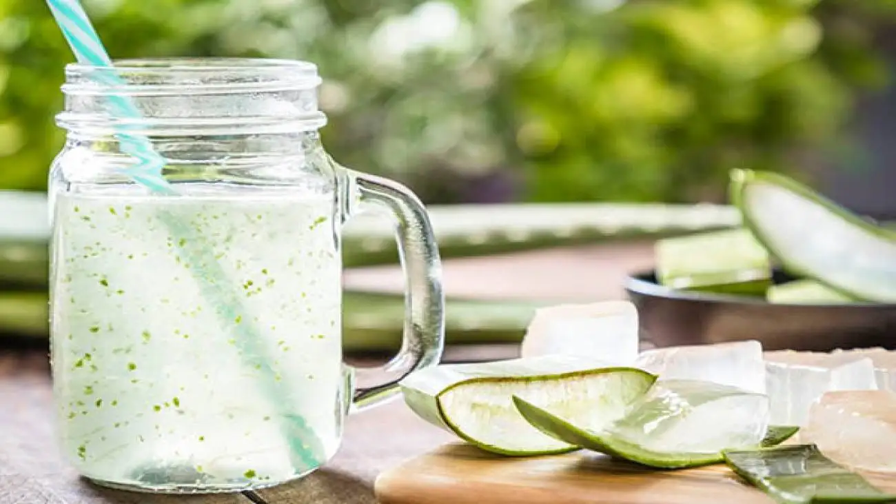 آلوئه ورا؛ گیاه جاودانگی با دو چهره