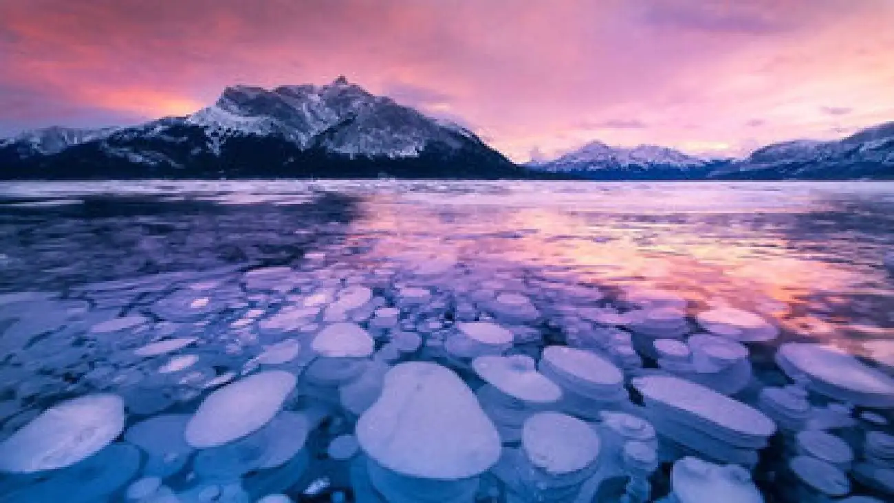 ویدیو  -  دریاچه یخ زده سوئیس؛ حباب های متان و گل های یخی درخشان