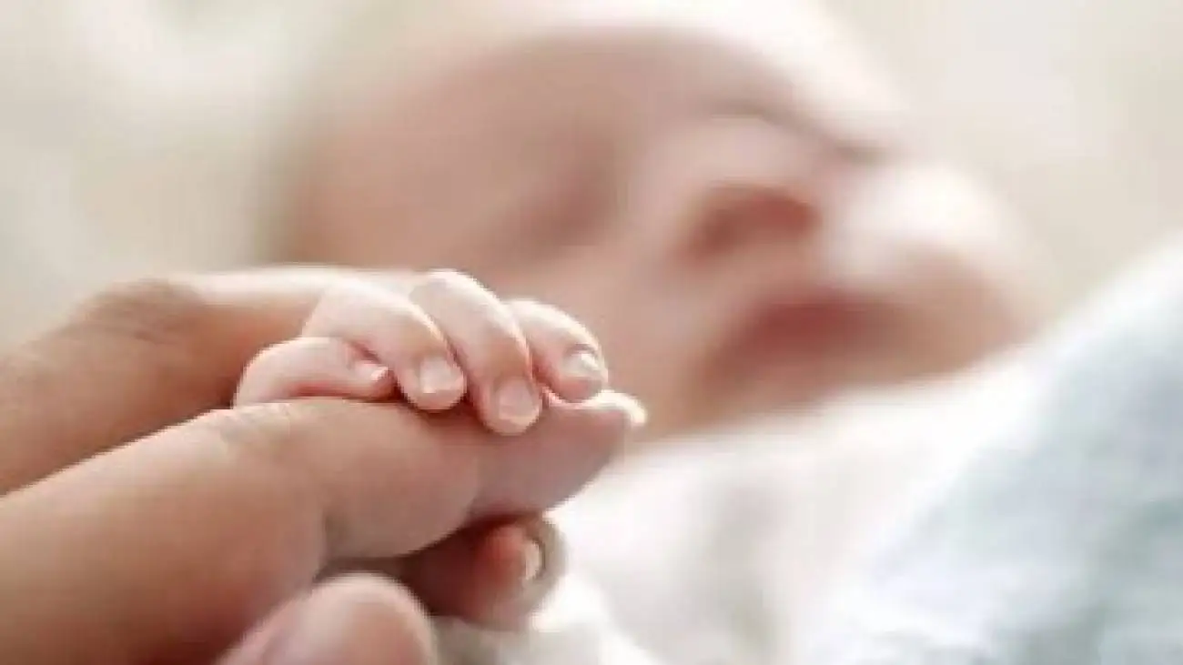 هر ساعت، 8 نوزاد در این استان متولد می شود