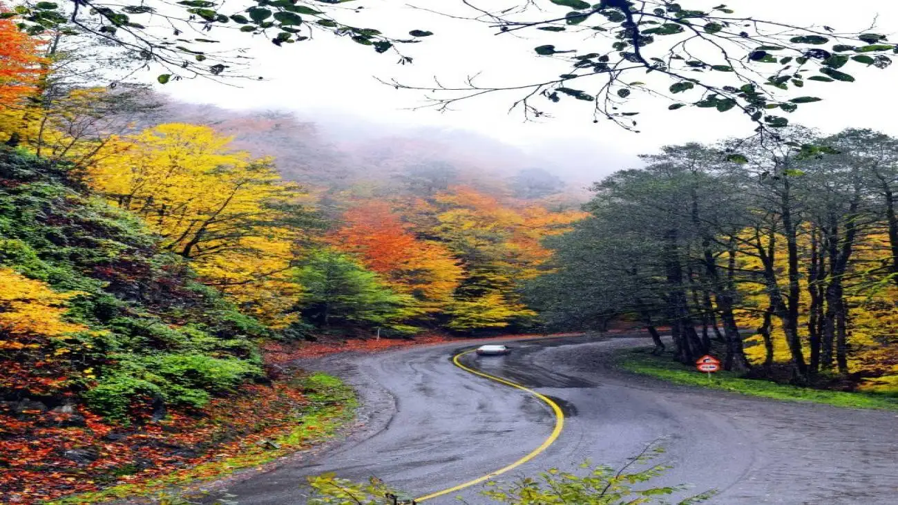 وقتی یک قاب از مازندران، نفس فضای مجازی را حبس کرد