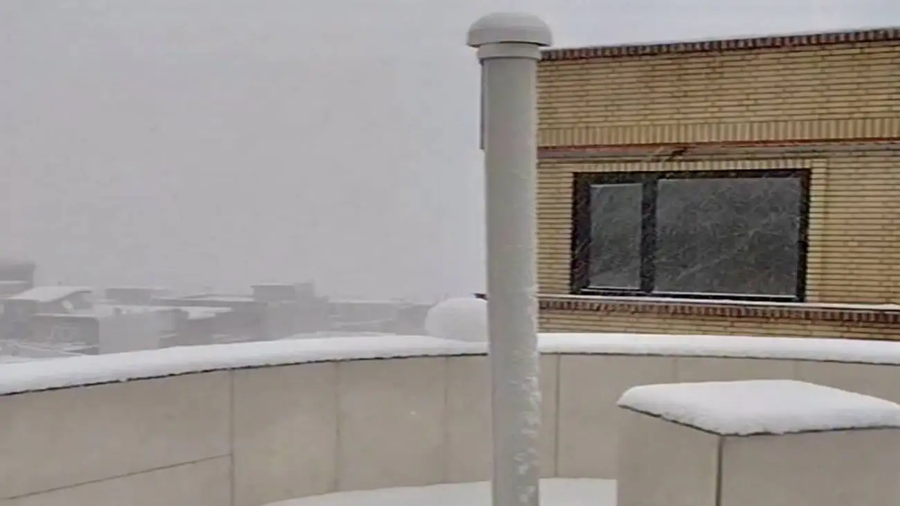 شروع بارش برف شدید در این شهر ایران؛ لحظات سفید شدن شهر در برف و کولاک را ببینید