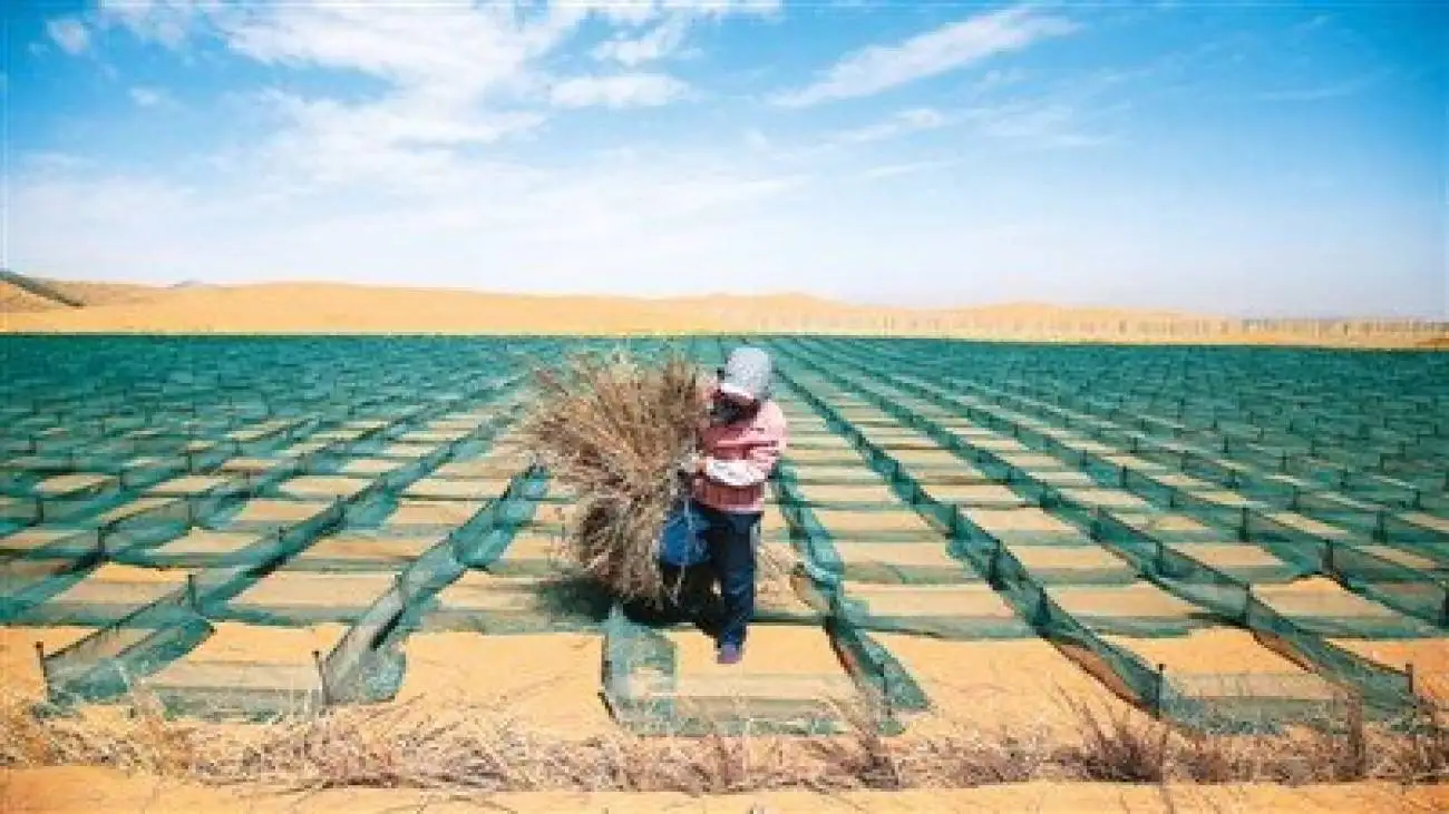 تکنیک چین برای بیابان زدایی؛ تبدیل صحرا به سرزمین سبز!  -  ویدئو