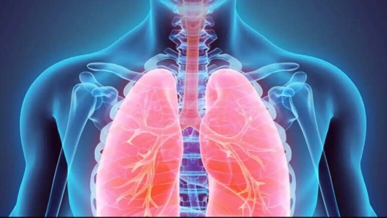 چه افرادی بیشتر در مقابل آلودگی هوا آسیب پذیرتر هستند؟