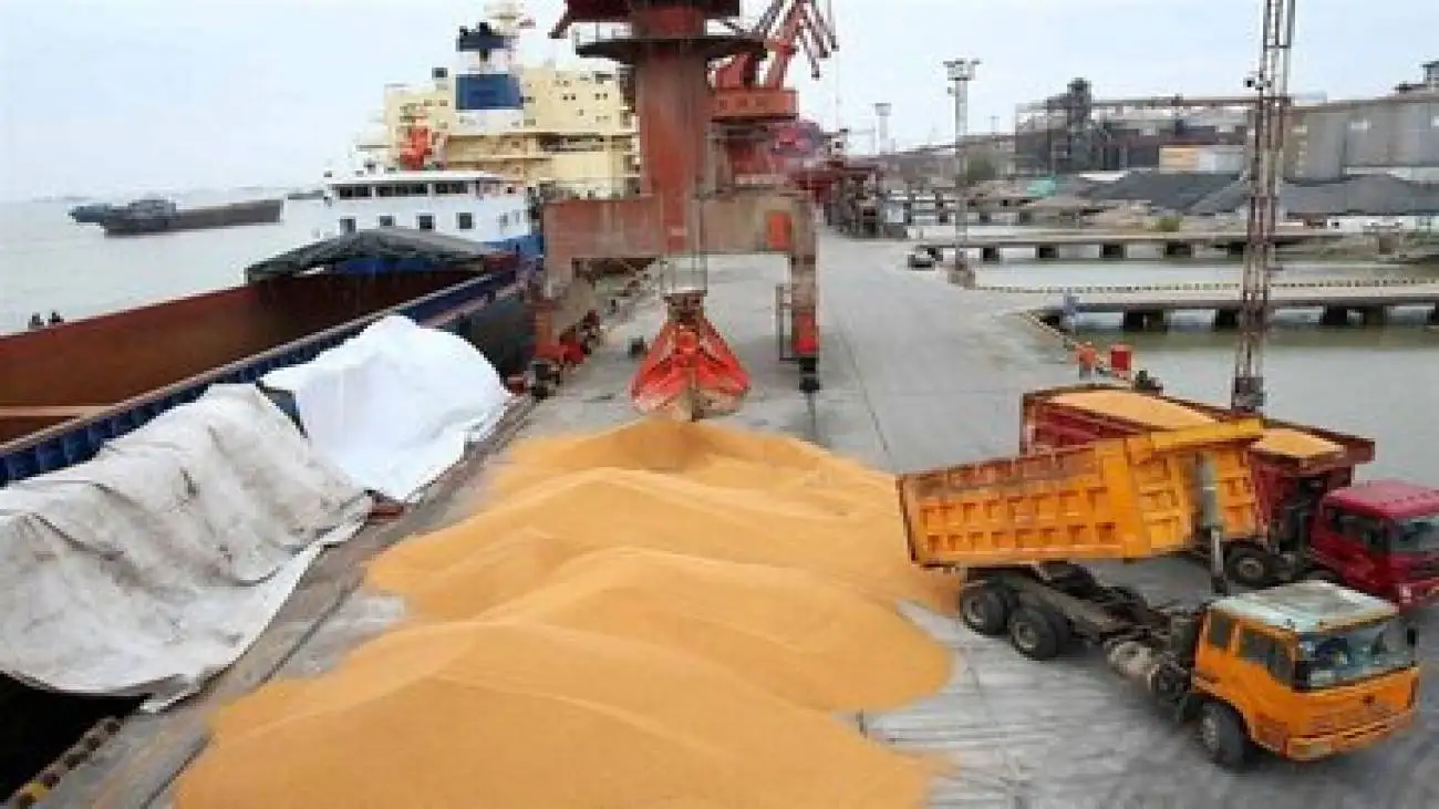 هشدار سازمان بازرسی به وزارت جهاد کشاورزی درمورد نهاده های دامی: اقدام خالی فروشی واردکنندگان باعث نارضایتی واحدهای تولیدی شده