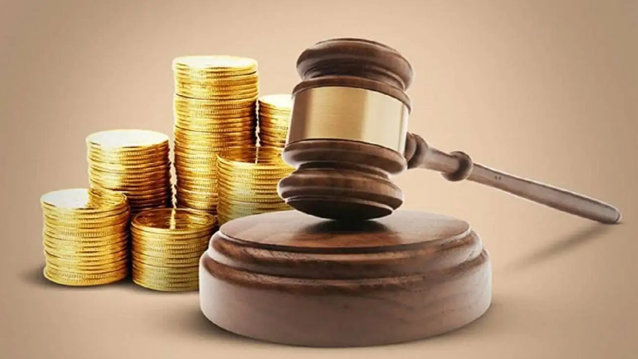 نایب رئیس کمیسیون قضایی: دو تبصره به نفع بانوان اضافه کردیم  -  عضو فراکسیون زنان: خیر، دست انداز درست کردید