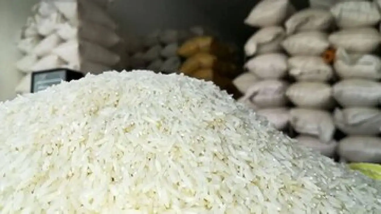 آماری جالب از دور ریز برنج در کشور؛ روزانه 8 تُن!