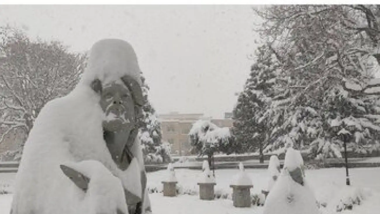 مردم آماده باشند؛ بارش برف بی سابقه در راه است -  رکوردها شکسته می شود؟