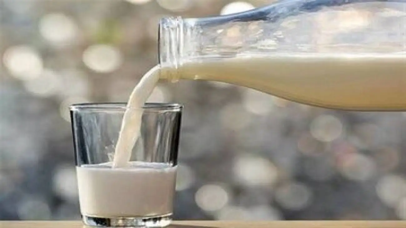 واکنش مردم به افزایش قیمت محصولات لبنی؛ نمی خریم!