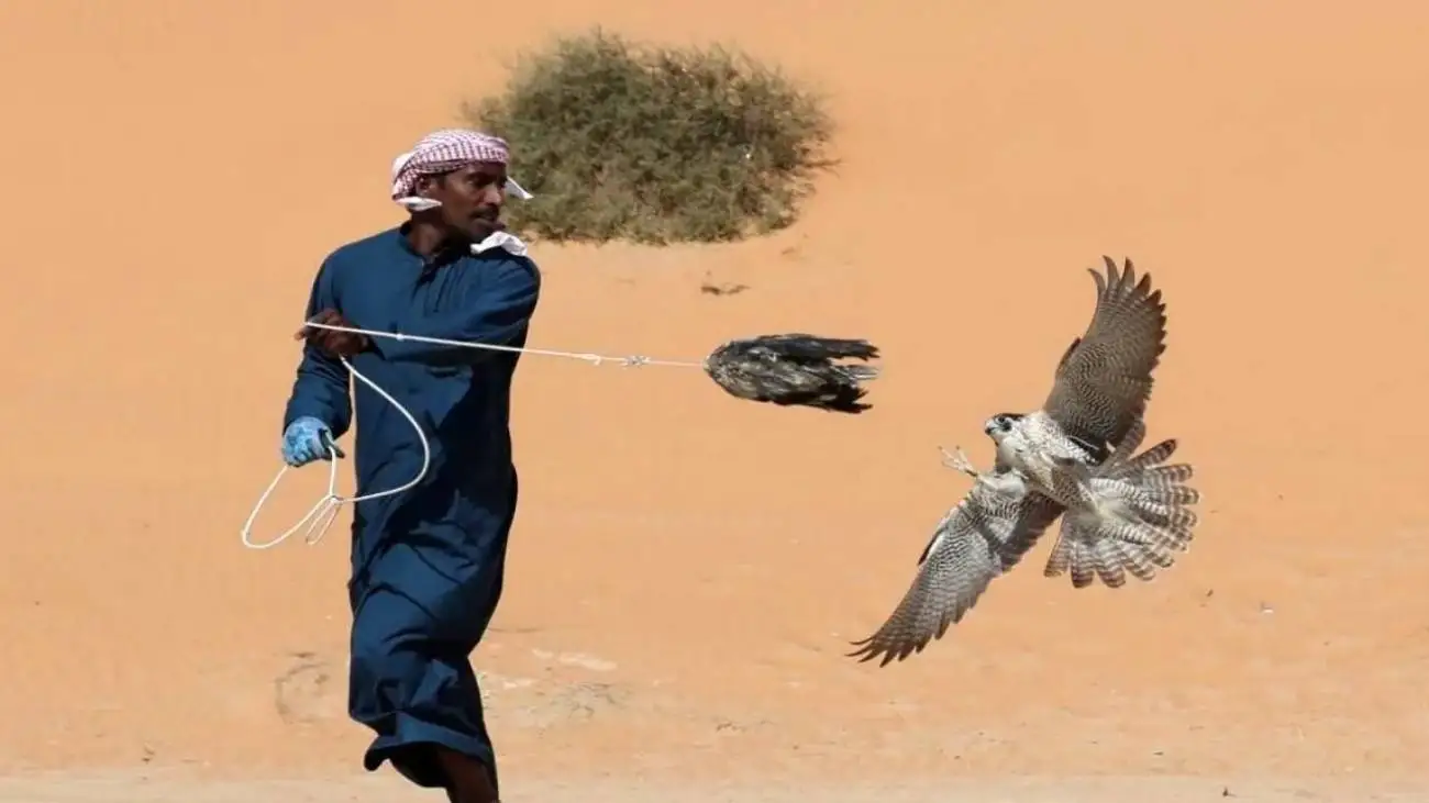 قطر، زنگ خطر حیات وحش منطقه  -  وقتی اراده سیاسی قاچاق را متوقف می  کند