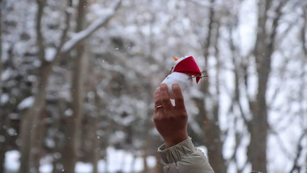 هشدار هواشناسی برای تهران  -  سامانه بارشی جدید از غرب وارد کشور می شود