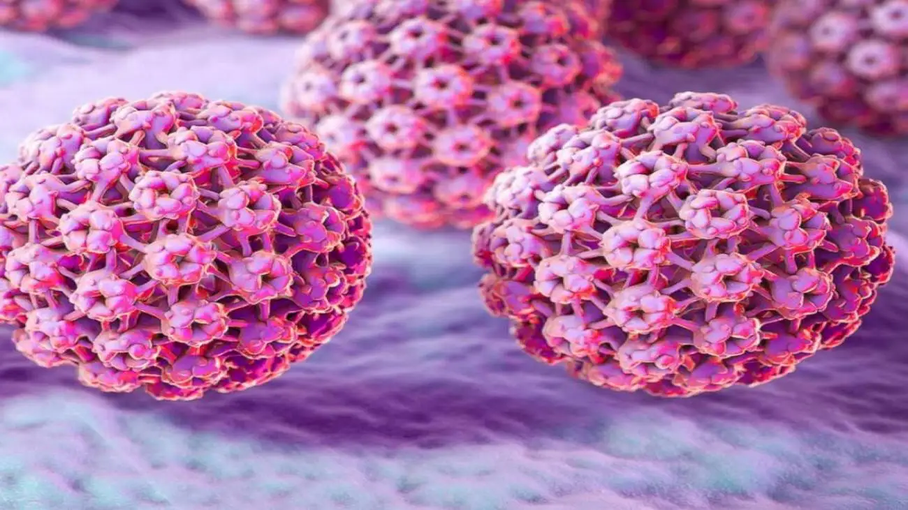 آیا ویروس hpv از طریق دستشویی و استخر منتقل می شود ؟