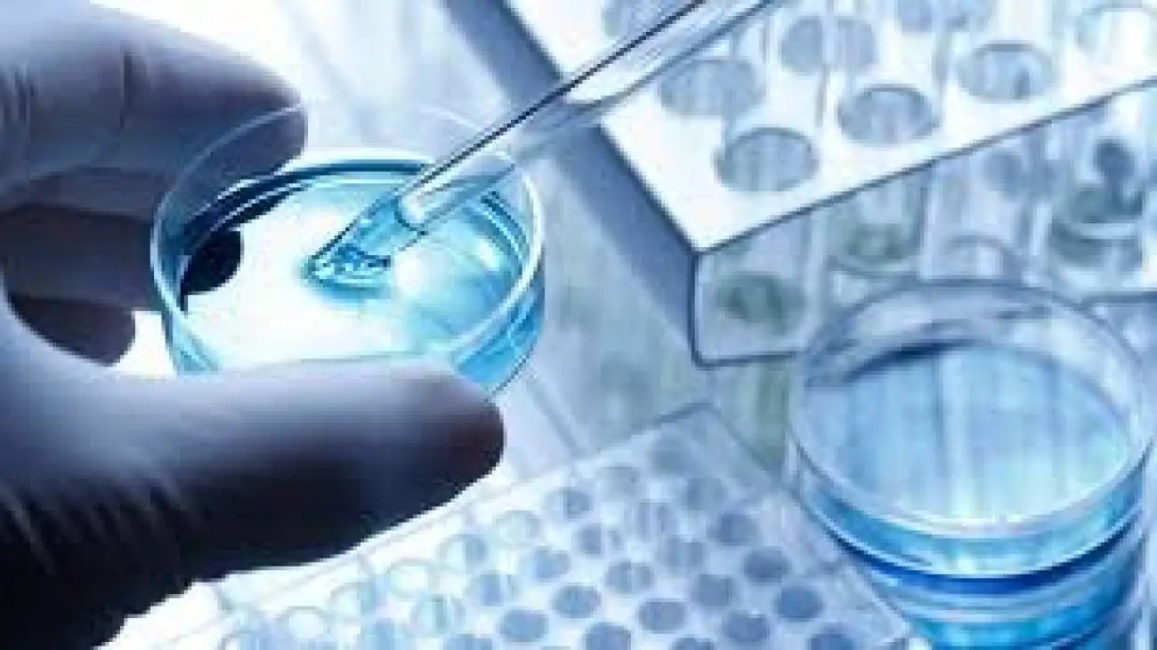 کشفی تازه درمورد سلول های بنیادی