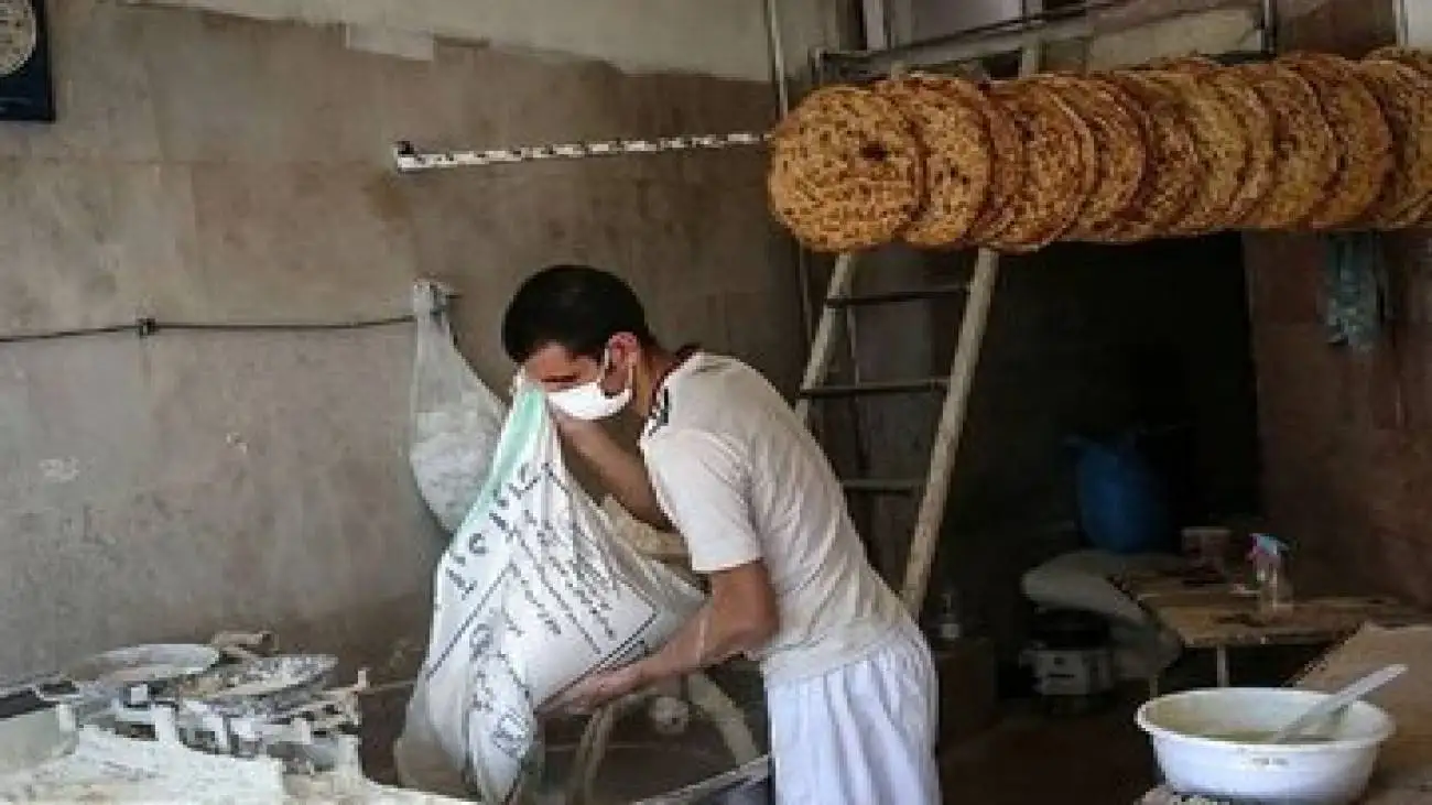 نان دوباره گران می شود؟