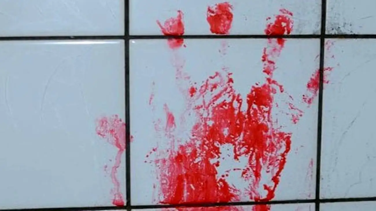 قتل مادربزرگ و عمو با 85 ضربه چاقو