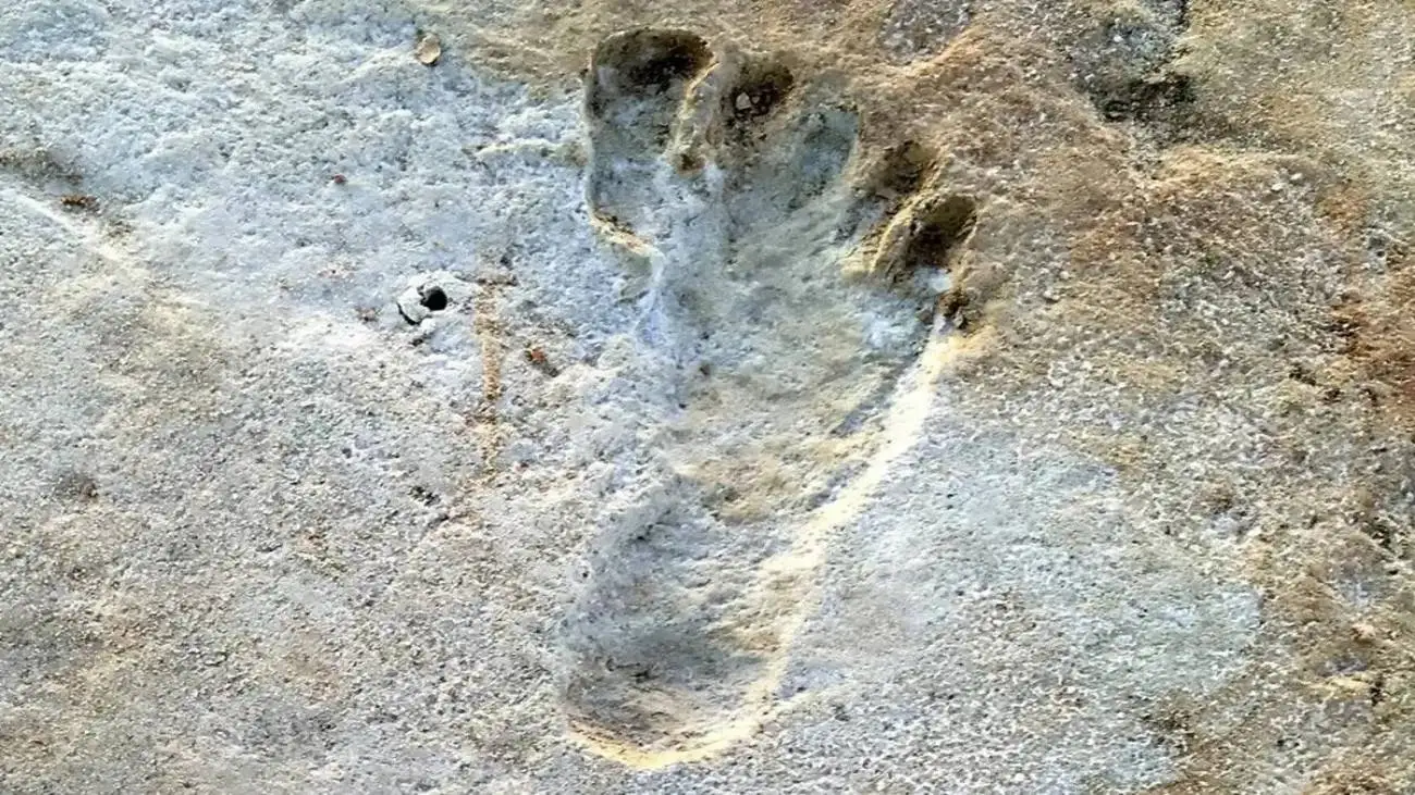 قدیمی ترین ردپاهای جهان در کجا دیده شده اند؟
