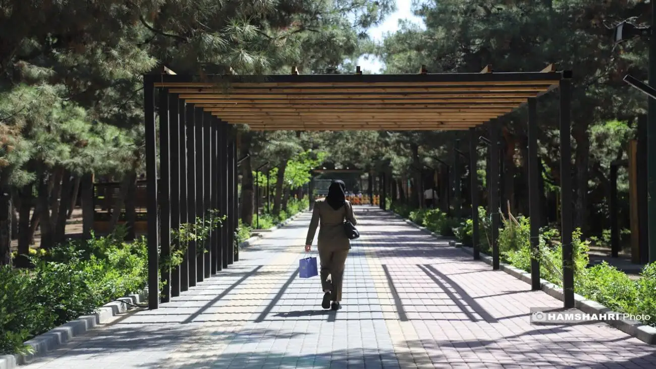 هشدار نارنجی بارندگی برای این استان ها  -  بارندگی در برخی نقاط کشور