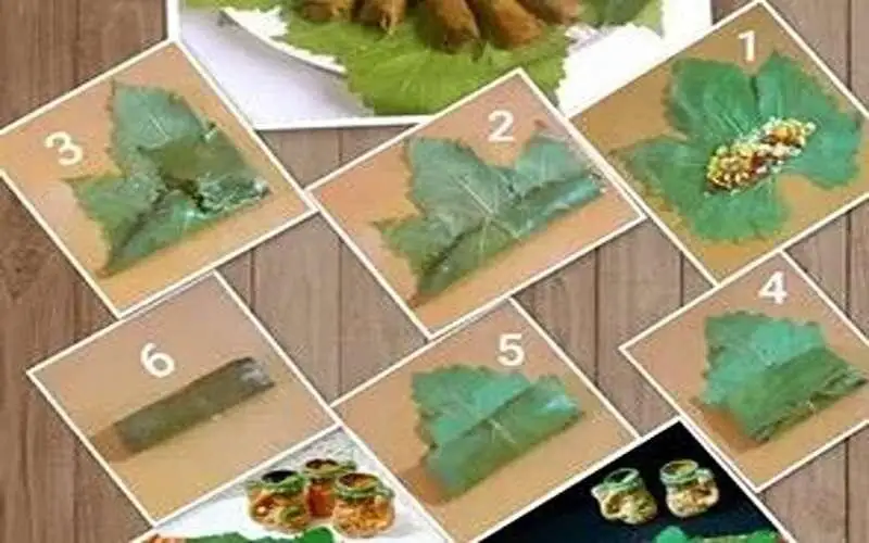 آموزش انواع روش های پیچیدن برگ دلمه، از سیگاری تا بقچه ای