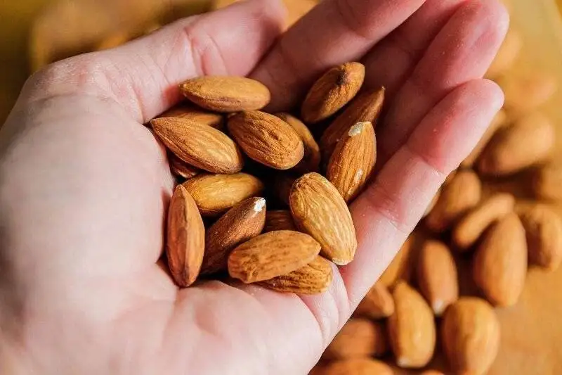 چرا کودکان باید با این آجیل روز خود را آغاز کنند؟