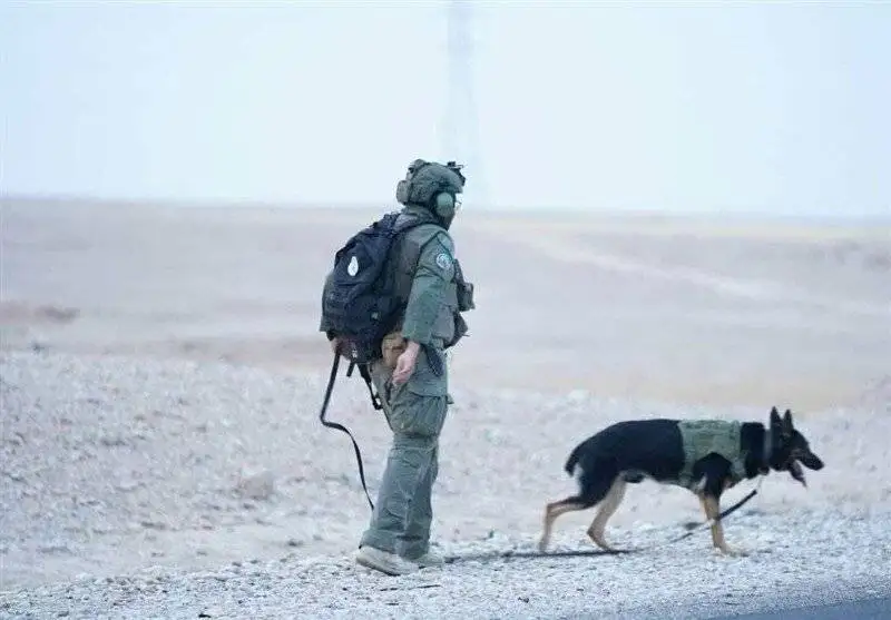 الحشدالشعبی آماده باش شد+ تصاویر