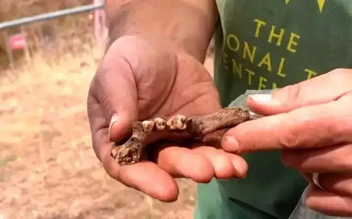 مهم ترین اکتشافات سال 2025 در انگلستان؛ از تاس پیشگویی تا راز قتل 2000 ساله!