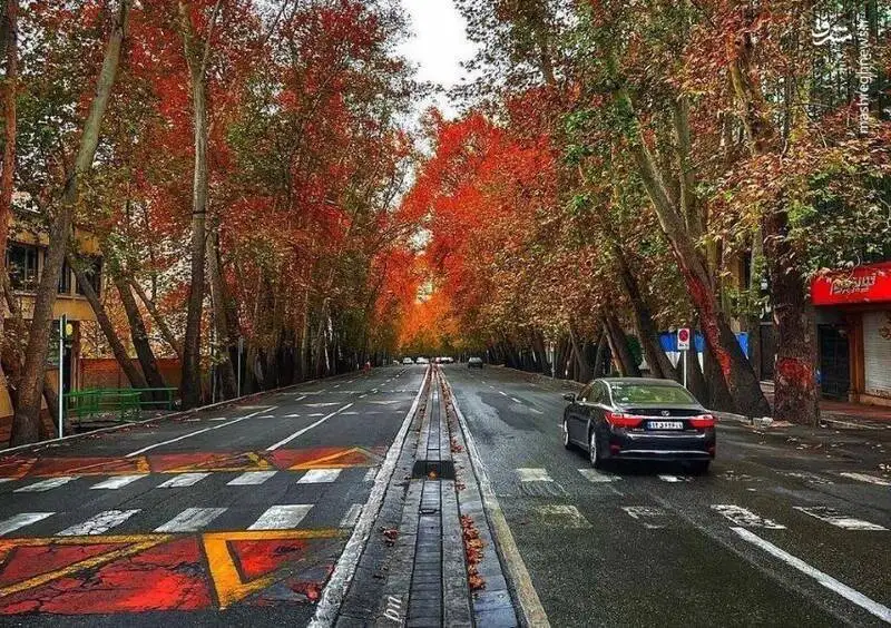 بهترین نقاط تهران برای عکاسی از پاییز