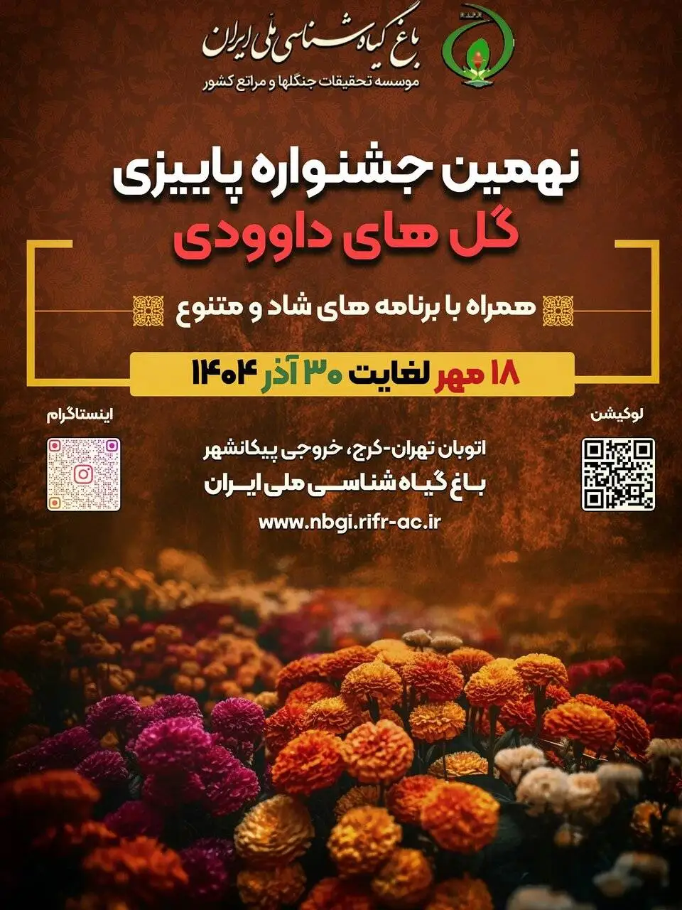 تهران میزبان گل های داوودی شد