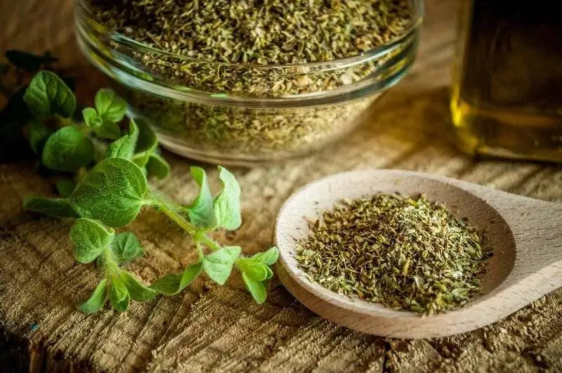 10 غول گیاهی همه فن حریف برای سلامت بیشتر