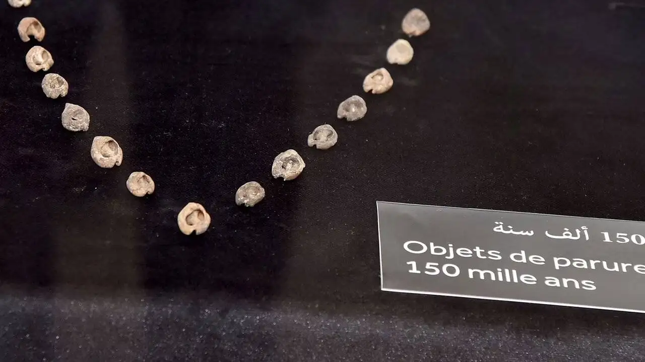 کهن ترین ساخته های دست بشر ؛ از مرد شیری 40 هزار ساله تا چرخ 5 هزار ساله + عکس