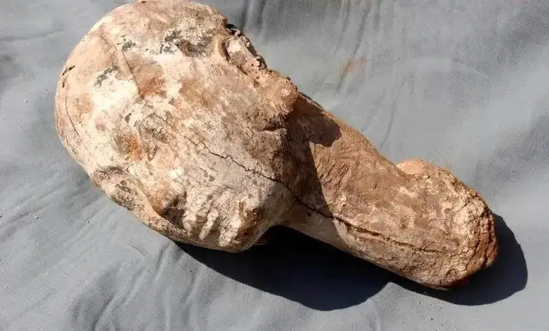 طلسم ممنوعۀ فراعنه، برای جاودانگی ملکۀ قدرتمند مصر باستان - عکس