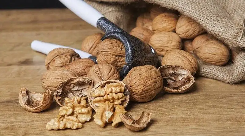 با این غذاها کبدتان چرب نمی شود